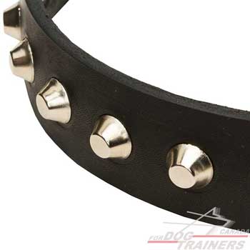 Leather Collar for Dog Walking