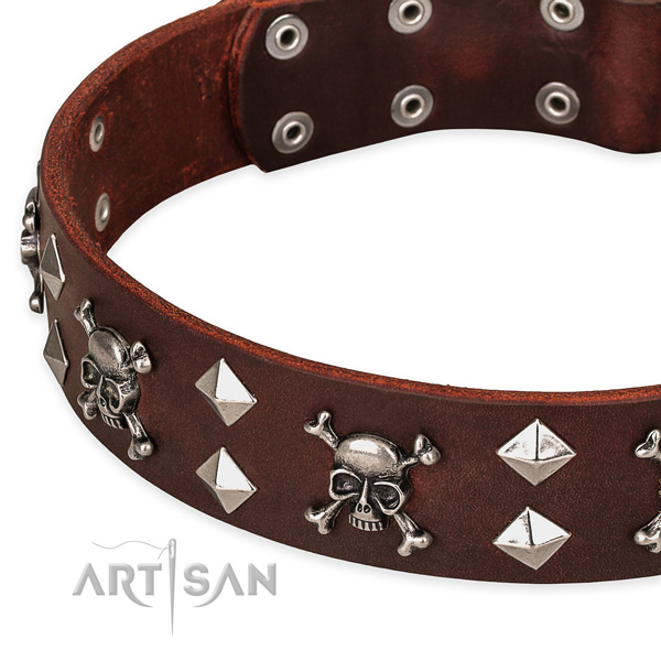 Everyday leather dog collar for easy walking