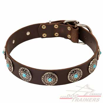 Dog leather collar with silver-like decoration