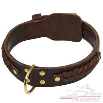 Leather dog collar with braids for stylish walking