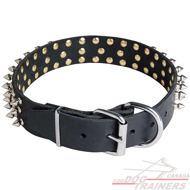 Buy Designer Spiked Leather Dog Collar for Walking ...