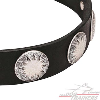 Full grain natural leather dog collar