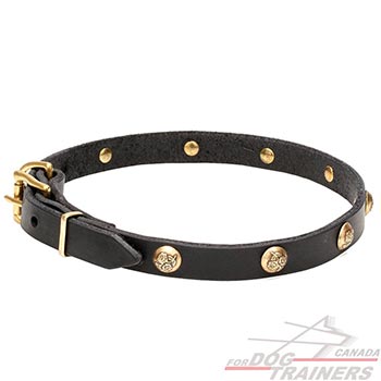 Genuine leather dog collar with studs