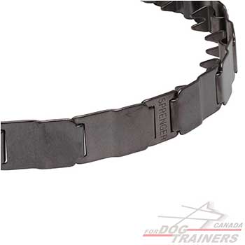 Pinch collar Neck Tech for dog behavior correction  