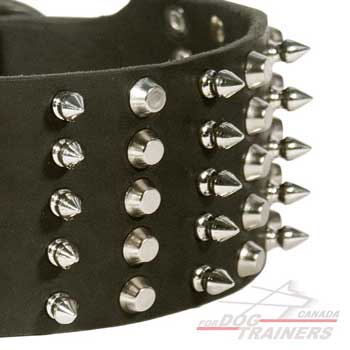 Nickel spikes and pyramids on leather collar