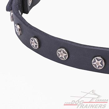 Full grain natural leather dog collar with decor