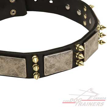 Nickel plates brass spikes on leather dog collar