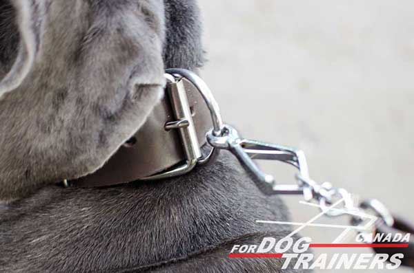 Leash Connection Nickel Ring