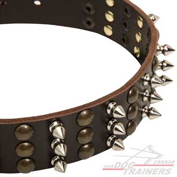 Nickel spikes and brass studs on leather dog collar