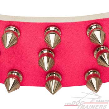 Silvery Nickel Spikes as Decoration for Pink Leather Collar