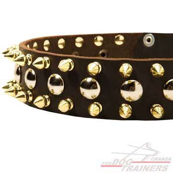 Nickel studs brass spikes on leather collar