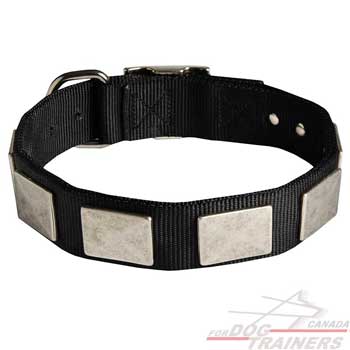 Nylon Collar for Dog Fashion Walking