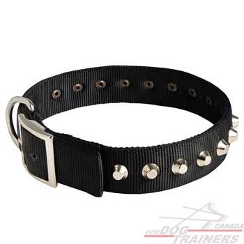 Nylon Collar of Reliable Quality