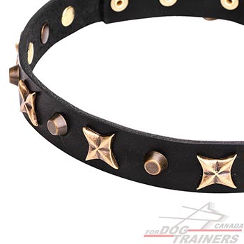 Everyday walking leather collar with decorations