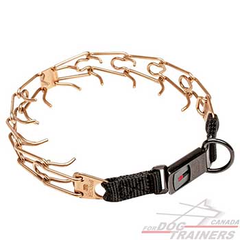 Curogan dog pinch collar for behavior control
