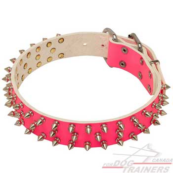 Pink Leather Collar for Canine Walking