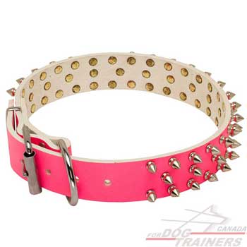 Pink Leather Collar for Daily Bitch-Dog Walking