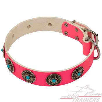 Dog leather pink collar decorated strong and wide