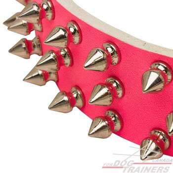 Dog Leather Collar in Pink Color