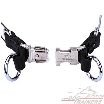 Two O-rings on dog pinch collar with click lock system