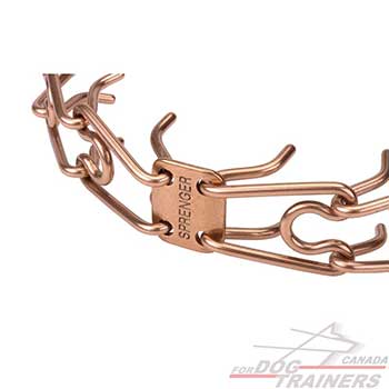 Curogan Prongs on Dog Pinch Collar for Behavior Correction  