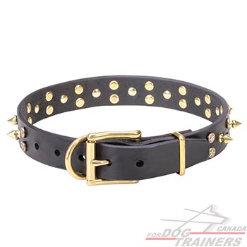 Reliable leather dog collar