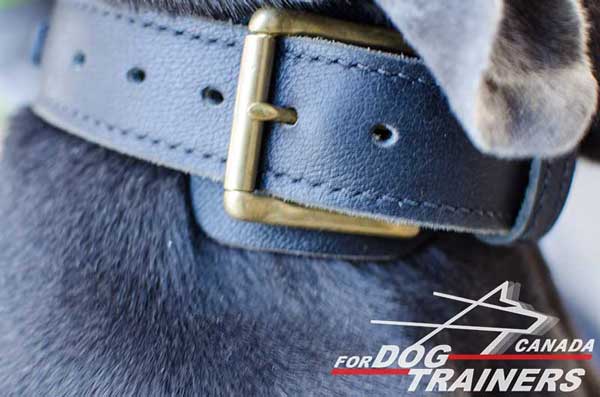 Dog braided leather collar with rust-proof buckle