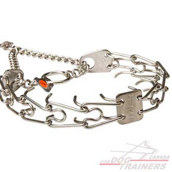 Stainless steel pinch collar
