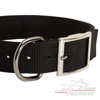 Steel Nickel Plated Hardware on Walking Dog Collar