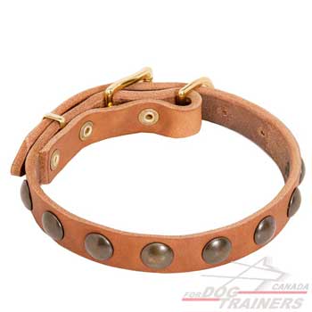 Elegant Leather Collar in Tan Color