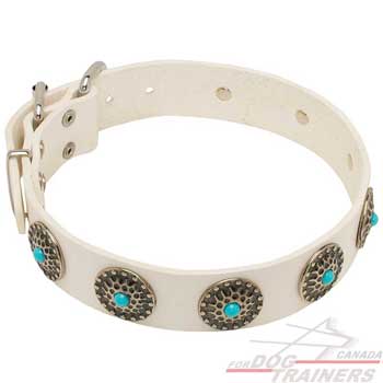 Dog leather white collar with circles decoration