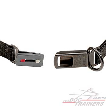 Pinch collar Herm Sprenger with Click Lock System