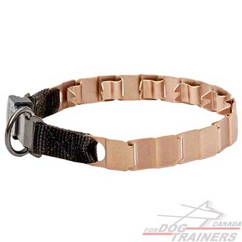 Durable collar with click lock system