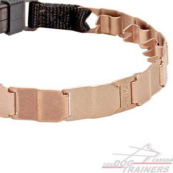 Durable collar for safe walking