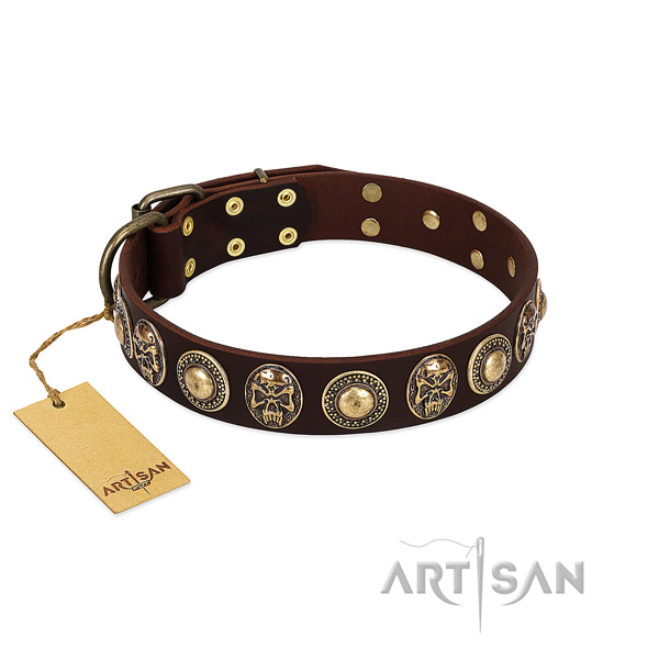 Fashionable full grain natural leather dog collar for everyday walking