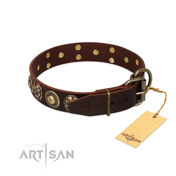 Corrosion proof studs on comfy wearing dog collar