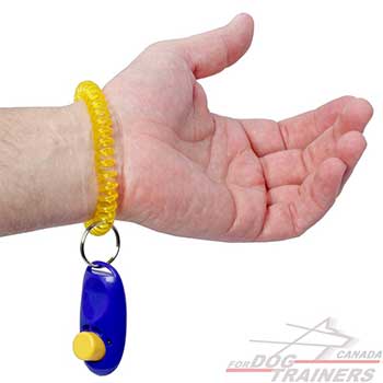  Dog Clicker for Basic Training