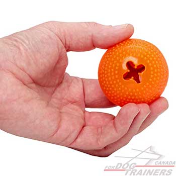 Small Dog Toy for Overactive dogs