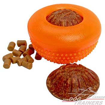 Medium Dog Toy for Overactive dogs