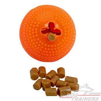 Dog Ball for Interactive Games of Small Size