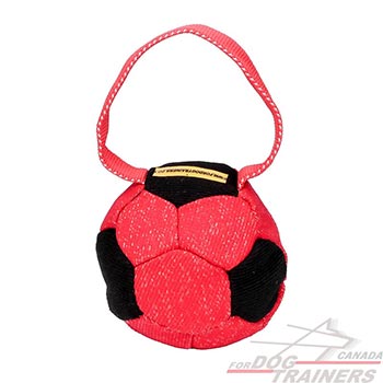 French Linen Dog Bite Tug Soccer Ball Design