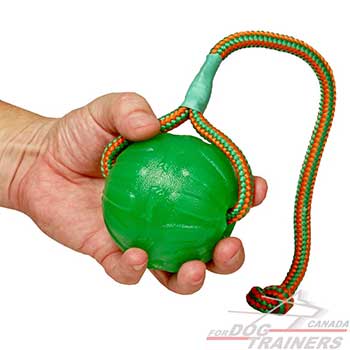 Dog Chew and Fetch Ball