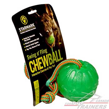 Dog Rubber Ball of high-quality safe materials