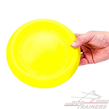 Yellow Flying Dog Disk
