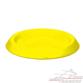 Dog Flying Disk for Interactive Games