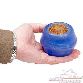 Special rubber dog Treat Dispenser Toy