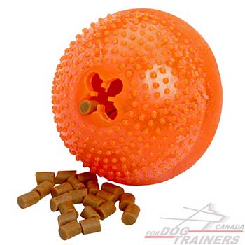 Large Dog Toy for Overactive dogs