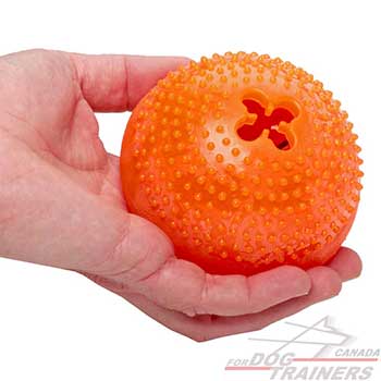 Dog Ball for Interactive Games of Large Size