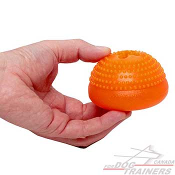 Dog Treat Dispenser to prolong your pet’s mealtime