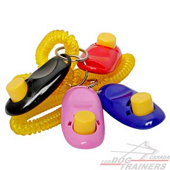 Training Dog Clickers 